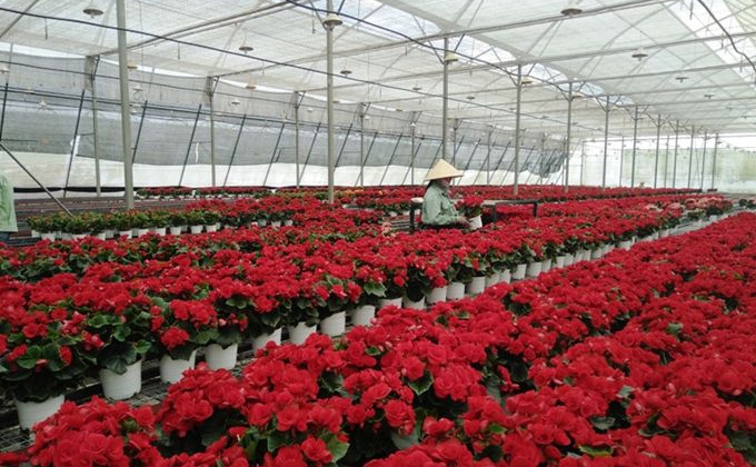 Thu hút đầu tư vào nông nghiệp: Nhà nước cần đồng hành cùng doanh nghiệp!