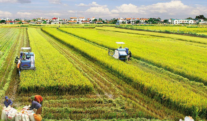 Một số vấn đề về chính sách chuyển dịch đất đai theo hướng tích tụ, tập trung