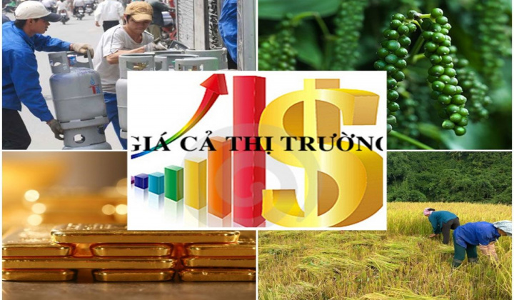 Sửa Luật Giá: Nâng cao tiêu chuẩn thẩm định viên về giá