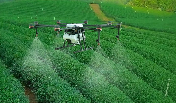 Hoàn thiện pháp luật về sử dụng, quản lý thuốc bảo vệ thực vật trong thực phẩm