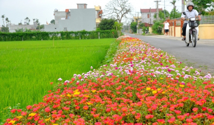 Hoàn thiện các quy hoạch để sắp xếp đơn vị hành chính cấp huyện, xã giai đoạn 2023-2030