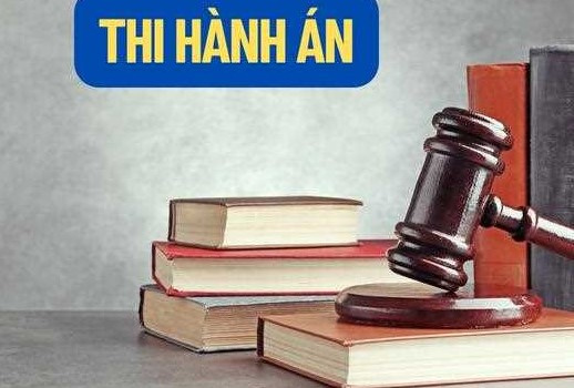 Sửa đổi cơ cấu tổ chức của Tổng cục Thi hành án dân sự