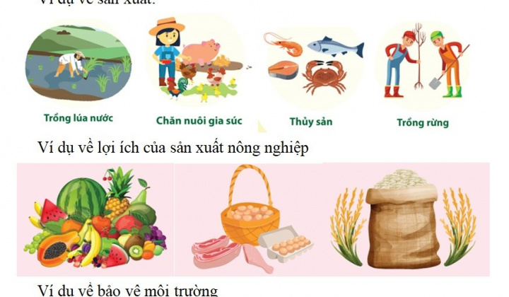 Sử dụng Infographic trong dạy học môn tự nhiên và xã hội lớp 3 (Bộ sách kết nối tri thức với cuộc sống)