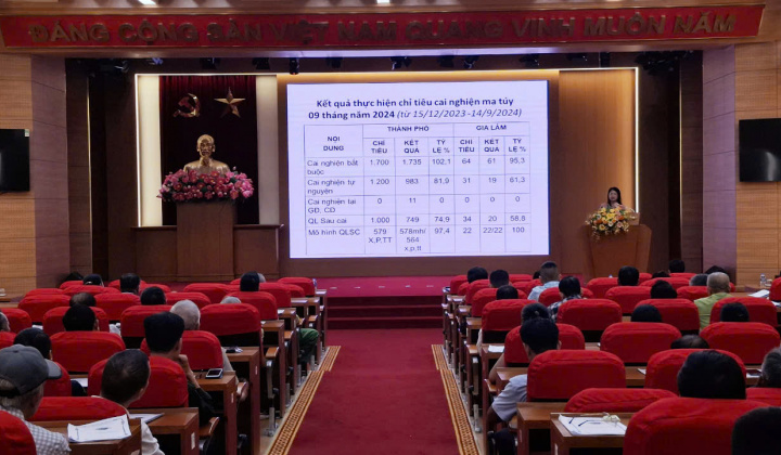 Hà Nội: Tập huấn nâng cao năng lực cho Đội Công tác xã hội tình nguyện năm 2024 tại Gia Lâm