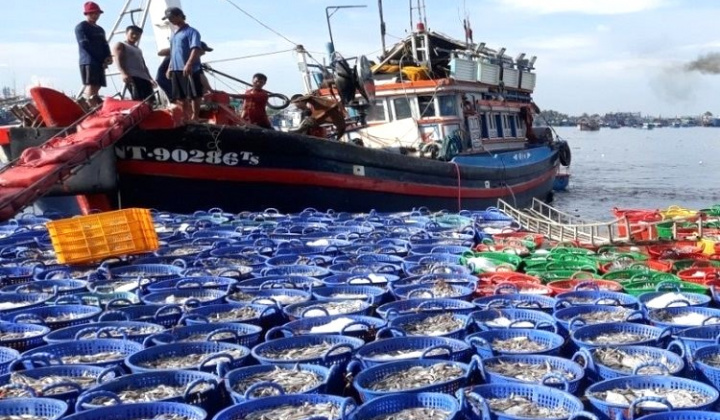 Quy định xử phạt vi phạm hành chính trong lĩnh vực thủy sản