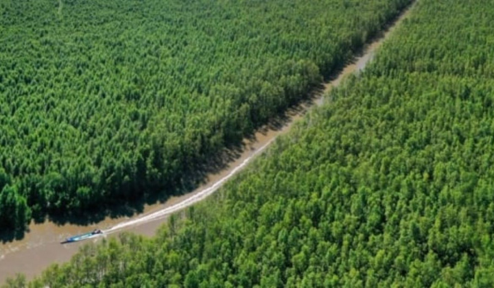 Kiện toàn thành viên Hội đồng thẩm định Quy hoạch Lâm nghiệp quốc gia thời kỳ 2021 - 2030, tầm nhìn 2050