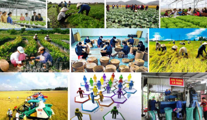 Phó Thủ tướng Lê Minh Khái làm Trưởng Ban Chỉ đạo quốc gia về kinh tế tập thể