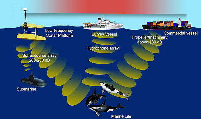 Kế hoạch thực hiện Công ước quốc tế về kiểm soát, quản lý nước dằn và cặn nước dằn của tàu
