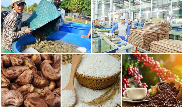 Thúc đẩy chuyển đổi hệ thống lương thực, thực phẩm minh bạch, trách nhiệm và bền vững nhằm tăng cường đóng góp do quốc gia tự quyết định của Việt Nam