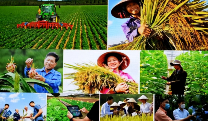 Chính sách Bảo hiểm rủi ro cho người nông dân góp phần quan trọng thực hiện mục tiêu an sinh xã hội