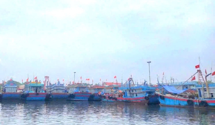 Thanh Hóa đẩy mạnh tuyên truyền cao điểm chống khai thác thủy sản bất hợp pháp