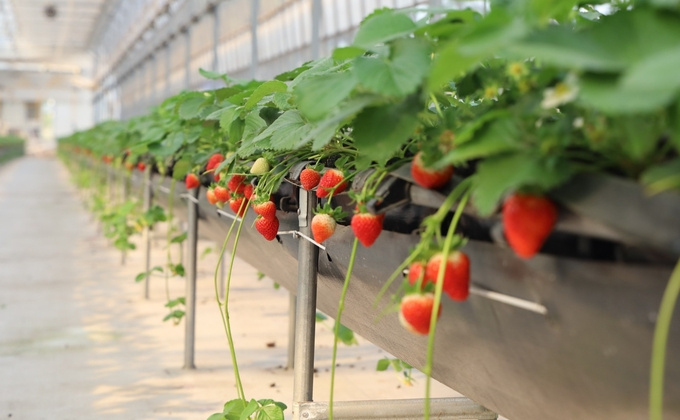 Thành lập Khu Công nghệ cao sinh học Hà Nội