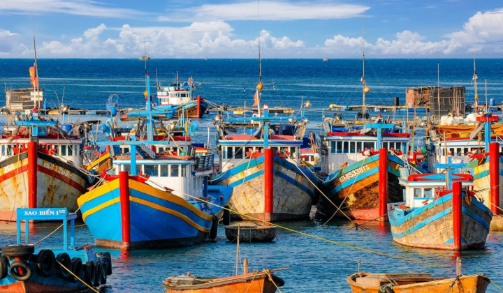 Sửa đổi một số quy định về xử phạt vi phạm hành chính trong lĩnh vực thủy sản