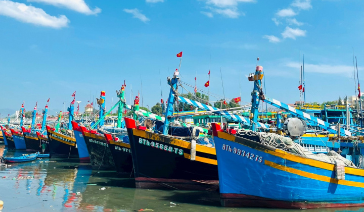 Ngưng hiệu lực thi hành quy định kích thước tối thiểu được phép khai thác một số loài thủy sản