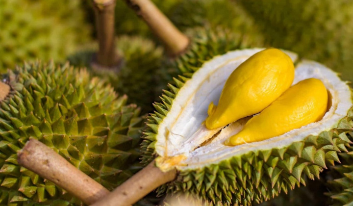 Xử lý thông tin "Sầu riêng vẫn loay hoay giải quyết chất vàng O"