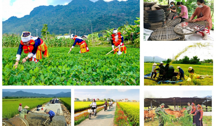 Thống nhất nội dung chuẩn nghèo và các chương trình mục tiêu quốc gia