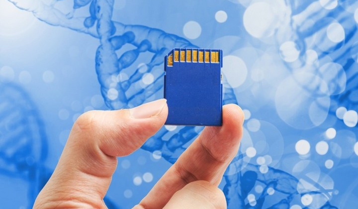 Phê duyệt nhiệm vụ lưu trữ dự phòng tài liệu quốc gia giai đoạn 2026–2035