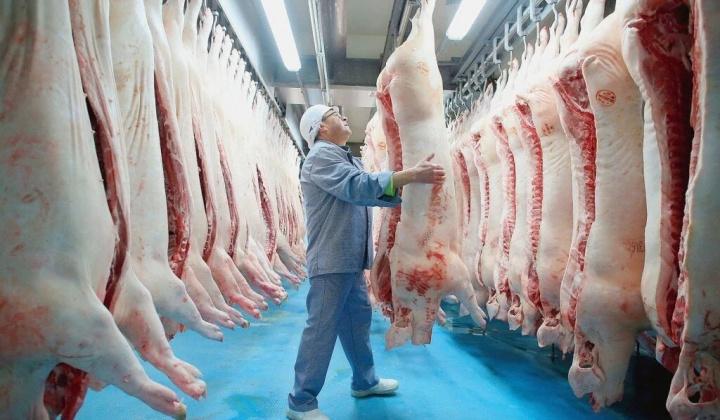 Chấn chỉnh công tác kiểm soát giết mổ gia súc