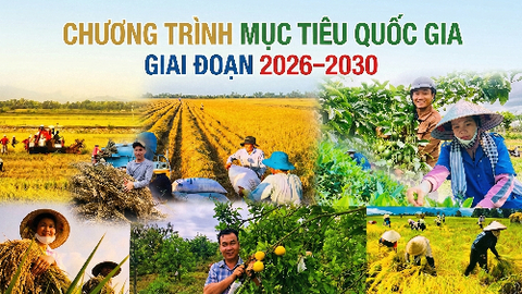 Ban hành quy chế hoạt động Ban Chỉ đạo các chương trình mục tiêu quốc gia giai đoạn 2026 - 2030