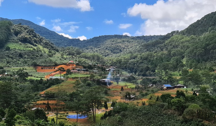 Quy định xử phạt vi phạm hành chính trong lĩnh vực lâm nghiệp