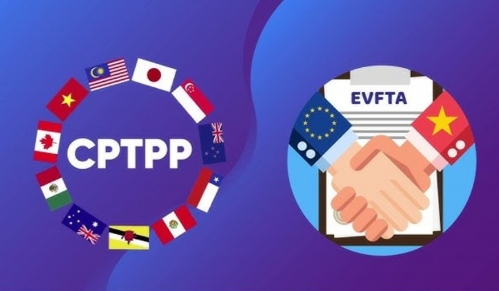 Đề xuất hướng dẫn thực hiện đấu thầu theo các Hiệp định CPTPP, EVFTA, UKVFTA