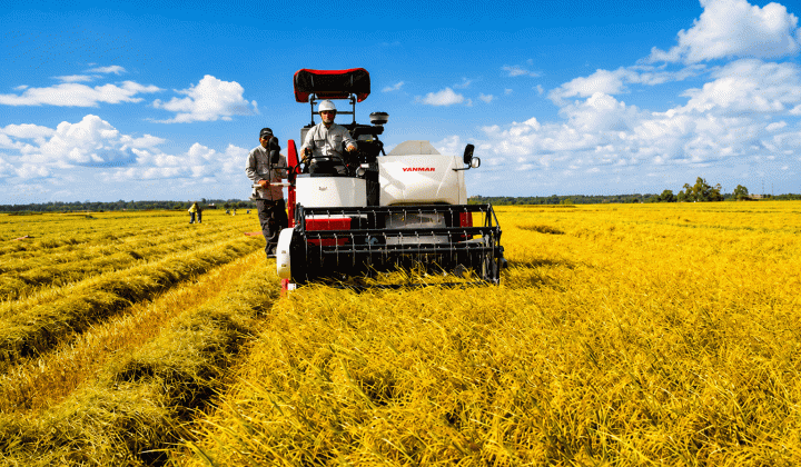 Ban hành Bộ tiêu chí đánh giá kết quả công nghiệp hóa, hiện đại hóa