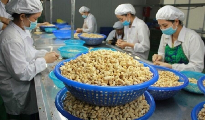 Vụ các container hạt điều xuất khẩu sang Italia: Bộ Công Thương vào cuộc hỗ trợ doanh nghiệp