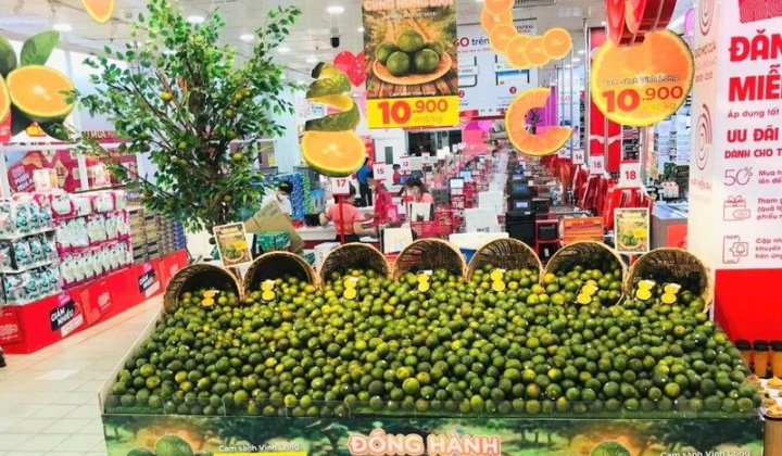 Vĩnh Long: “Vị đắng” cam sành và bài học đắt giá