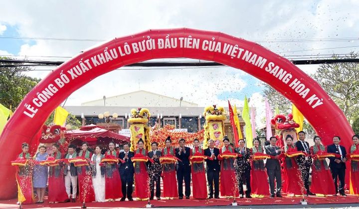Bến Tre: Xuất khẩu lô bưởi da xanh đầu tiên qua Mỹ
