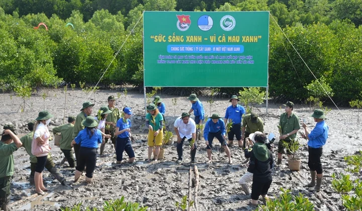 Cà Mau: Thanh niên trồng 3.000 cây đước trong lễ khởi động Tháng Thanh niên
