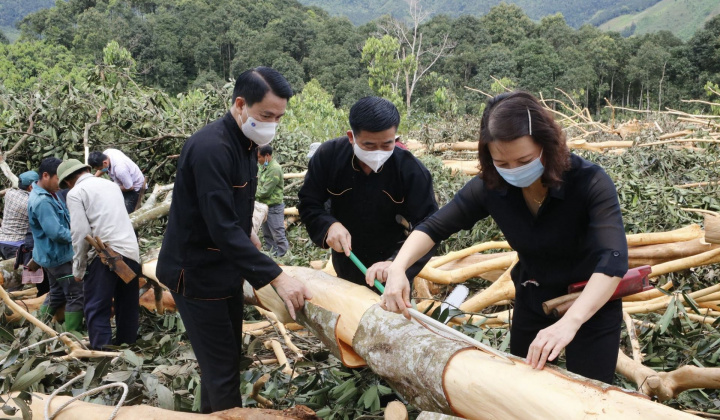 Quế Văn Yên: Không ngừng vươn xa từ việc thực hiện lời dạy của Bác Hồ khi lên thăm Yên Bái