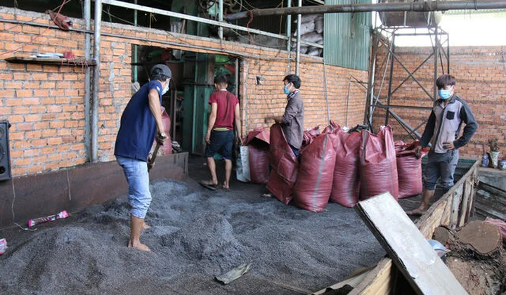Vụ trộn tạp chất có chứa pin vào hạt tiêu: 5 đối tượng bị truy tố