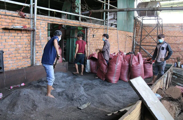 Vụ trộn tạp chất có chứa pin vào hạt tiêu: 5 đối tượng  bị truy tố
