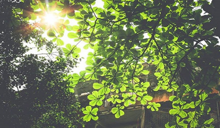 Dự báo thời tiết 12/10: Hà Nội nắng ráo, Trung Bộ mưa lớn trên diện rộng