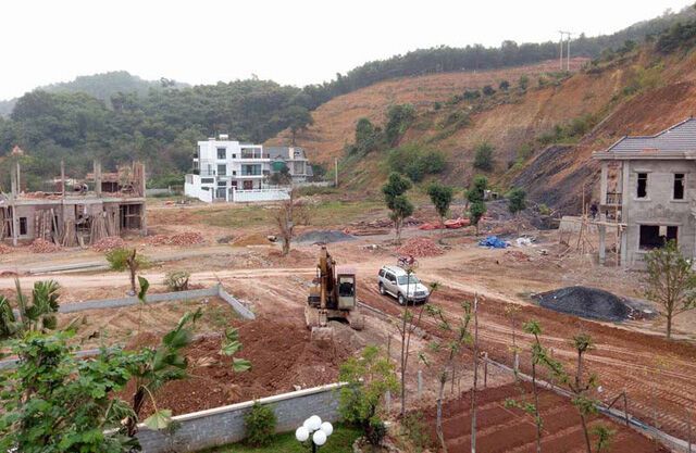Công khai kết quả kiểm tra các dự án liên quan đến đất rừng tại Hòa Bình