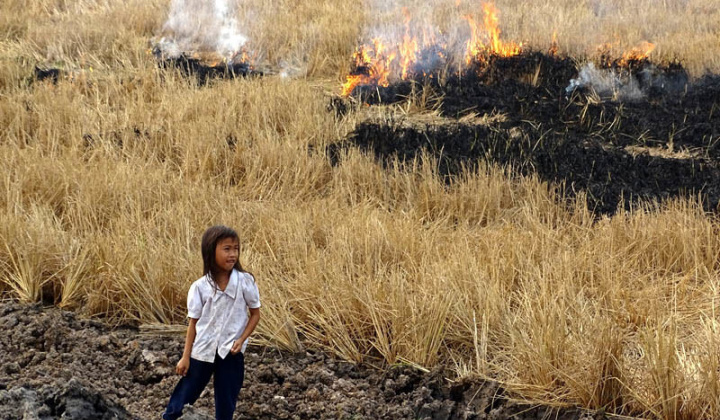 Vấn đề an ninh môi trường ở Việt Nam hiện nay