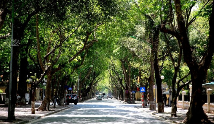 Dự báo thời tiết ngày 22/10: Bắc Bộ ngày nắng, chiều tối xuất hiện mưa vài nơi