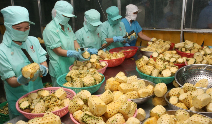 Fruit and vegetable exports expected to hit US$4 billion