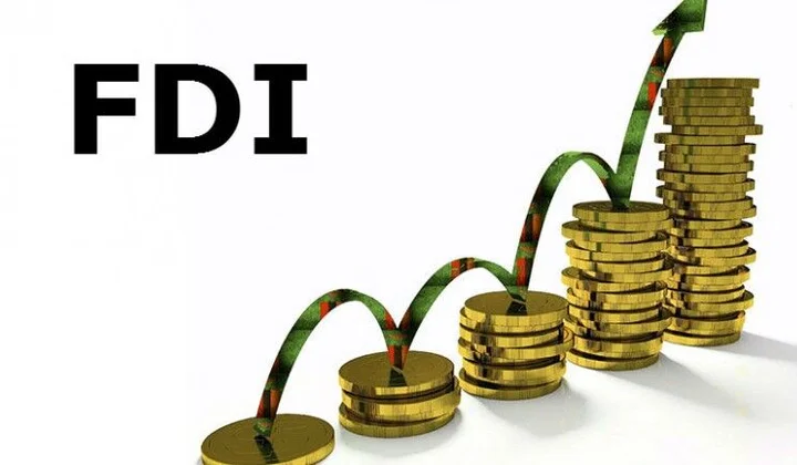 FDI có vai trò quan trọng trong phát triển kinh tế của Việt Nam