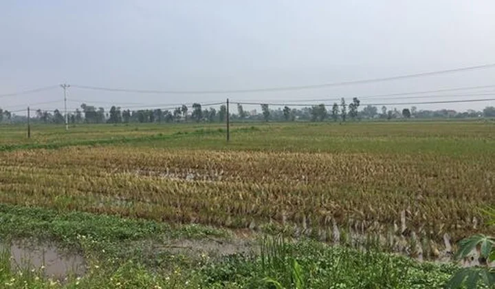 Hưng Yên: Hơn 10 năm lãng phí 'đất vàng'