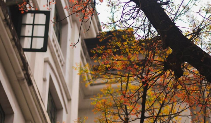 Tháng 11 này, Miền Bắc đón 4-6 đợt không khí lạnh 