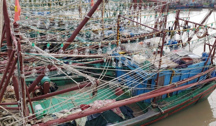 Hải Phòng: Hàng trăm tàu cá bị 'nhốt' tại cảng do lưới điện cao thế