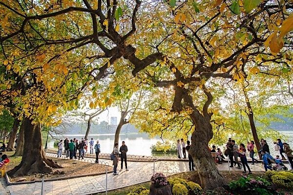 Dự báo thời tiết ngày 29/11: Miền Bắc nắng ấm, miền Trung có mưa rào