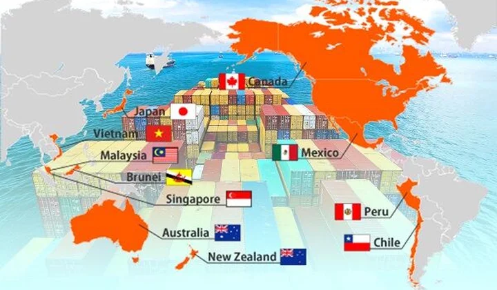 Việt Nam trong quan hệ thương mại với các nước CPTPP
