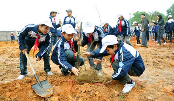 Phát động Tết trồng cây Xuân Kỷ Hợi 2019