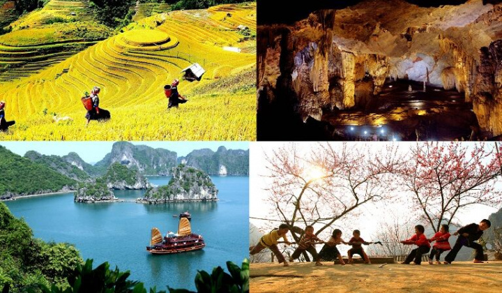 Điều lệ tổ chức và hoạt động của Quỹ hỗ trợ phát triển du lịch