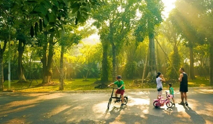 Dự báo thời tiết 17/12: Bắc Bộ hửng nắng, Trung Bộ có mưa