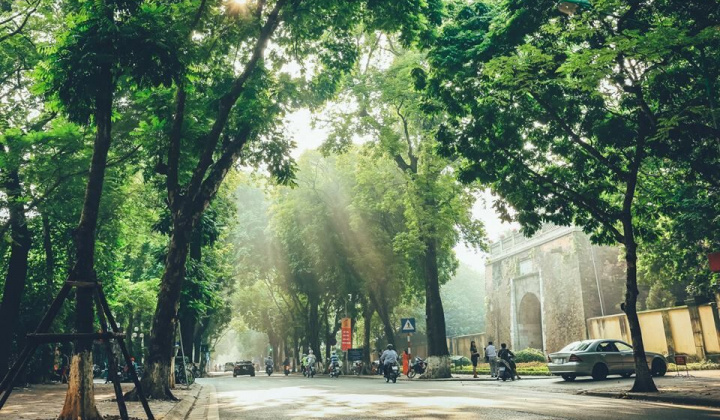Dự báo thời tiết 2/12: Miền Bắc có sương mù buổi sáng sớm, trưa chiều nắng đẹp