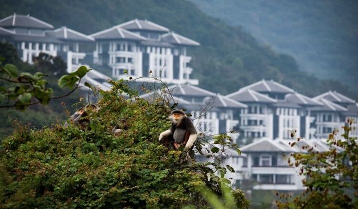 Ông Juan Losada: 'Bảo tồn thiên nhiên không phải là chiến lược mà là trách nhiệm'