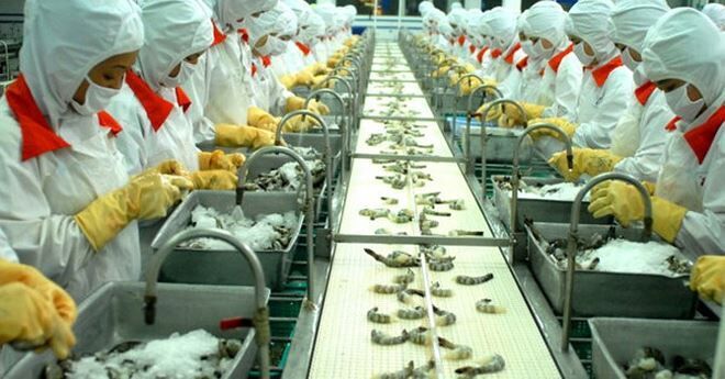 Kim ngạch xuất khẩu thủy sản có thể đạt 8,8 tỷ USD trong năm 2018